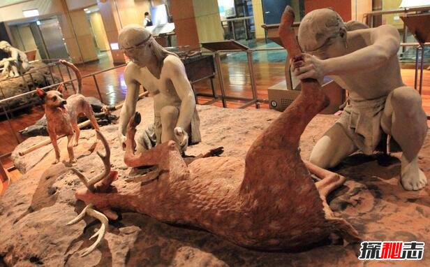 世界上最早的兽医：新石器史前人类(公元前3400)