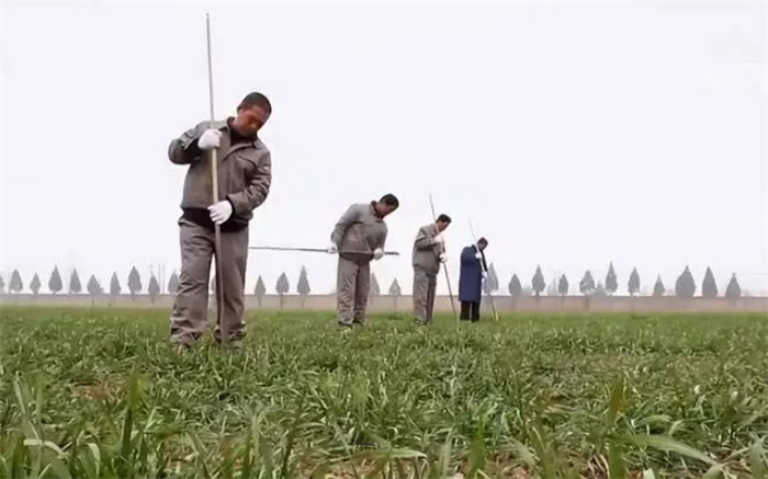 陕西村民发现超级大墓，专家急忙赶往挖掘，可惜10亿宝物已被盗光