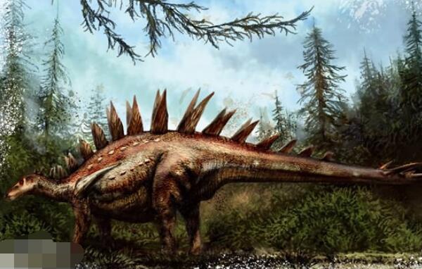 将军龙新疆最厉害的食草恐龙长9米距今155亿年前