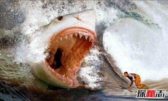 地球上是最大的食肉动物古噬人鲨吃人图片21米103吨