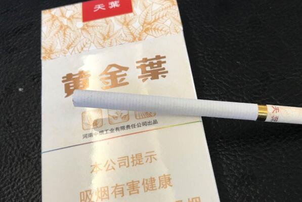 天叶100纪念版图片