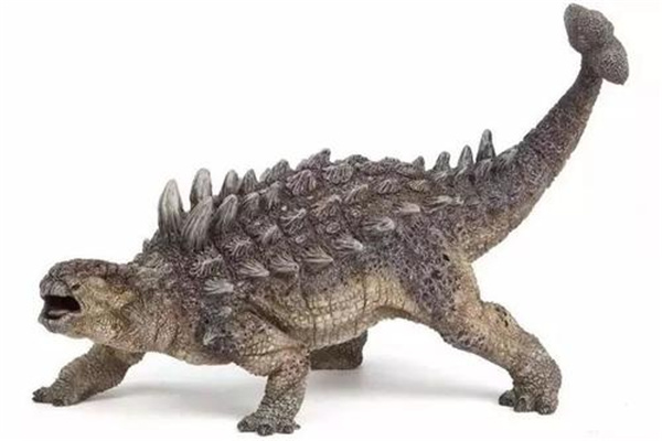 中国最大的甲龙:尼奥布拉拉龙(食草性恐龙)