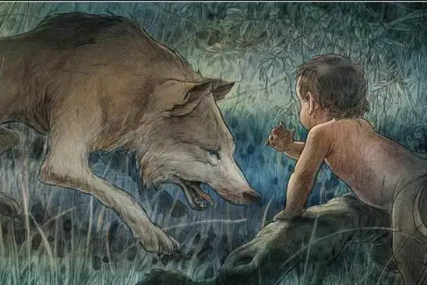 狼孩卡马拉的故事图片