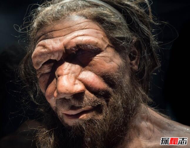 18000年前的人类图片图片