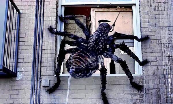 乌克兰的变异蜘蛛图片