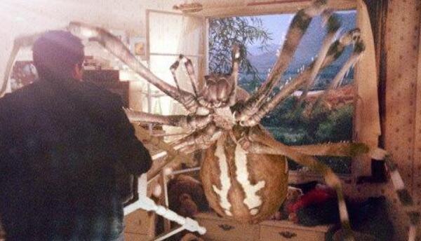 人被巨型蜘蛛包成茧图片