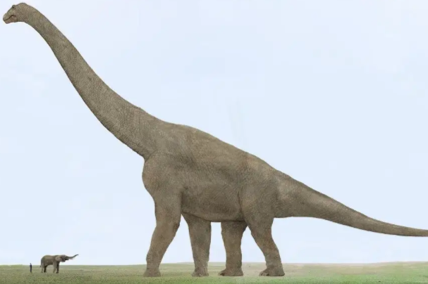 史上最大的恐龙是什么地震龙体长3236米体重3140吨