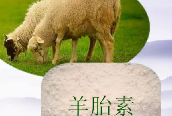 羊胎素背景图片