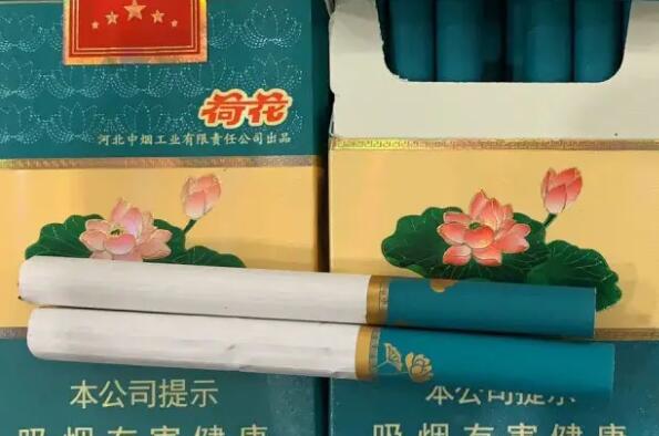 绿芯荷花烟图片图片