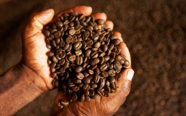 咖啡豆的种类及口味,口味分酸性、不酸不