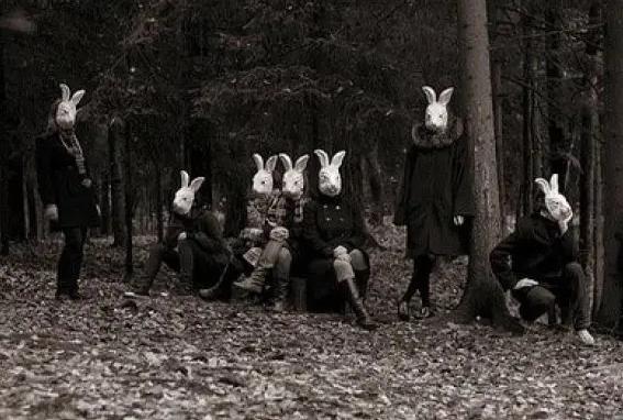世界上最诡异的兔子兔头人身的砍人恶魔兔子成杀人狂