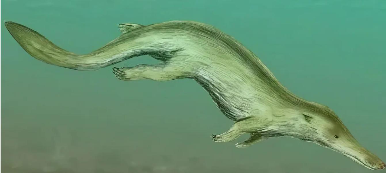 始祖鲸鱼图片