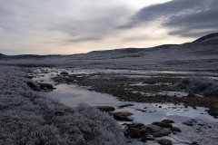 又一个古生物重现于世，在永久冻土冰封4.6万年（冰川融化）