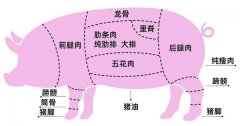 人类吃肉，为何基本只吃食草动物（人体奥秘）