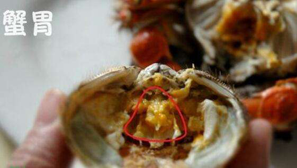 螃蟹四不吃需要注意 螃蟹这四个部位是不能吃的(图1)