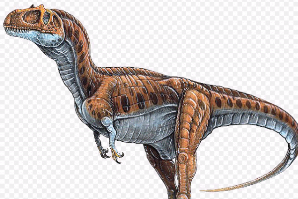 小型兽脚类恐龙美扭椎龙体长57米诞生于1亿6千万年