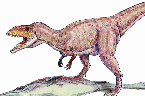 小型兽脚类恐龙美扭椎龙体长57米诞生于1亿6千万年