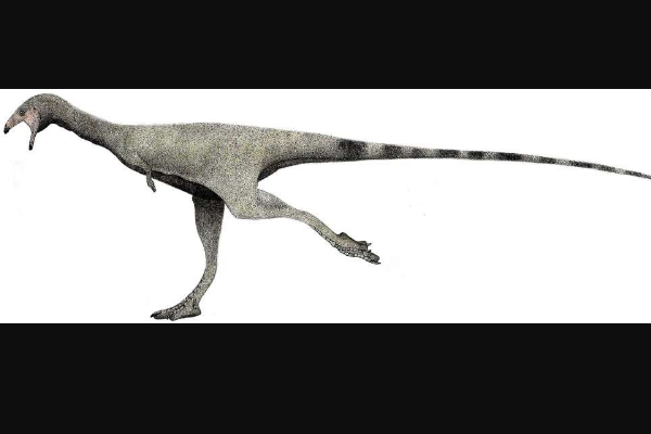 泥潭龙中国小型植食性恐龙罕见四指不长牙