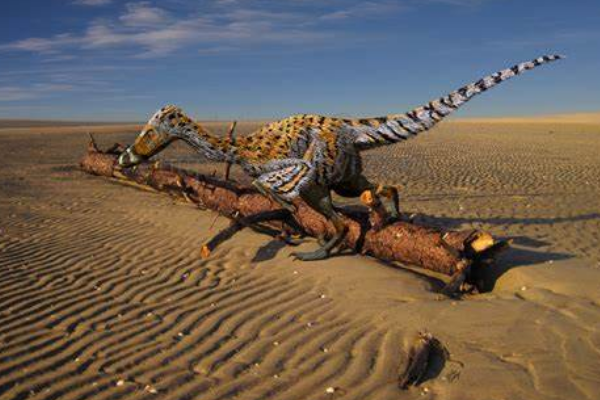 临河盗龙内蒙古小型肉食恐龙体长仅18米速度极快