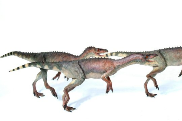 世界最早的恐龙始盗龙仅10公斤重拥有罕见五根前爪