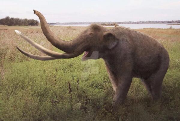 非洲象和古菱齿象图片