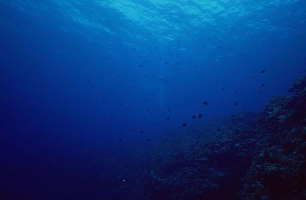 海底照片最深处图片
