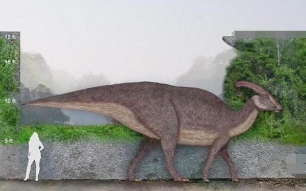 卡戎龙黑龙江大型食草恐龙长6米距今6500万年前