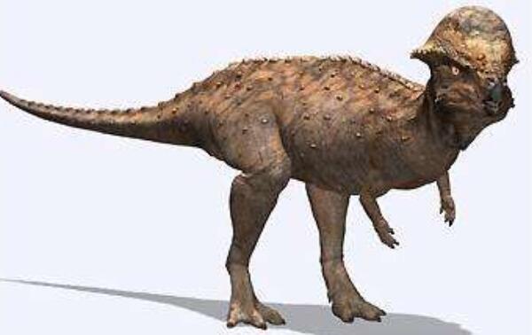 5米,重约130公斤,与膨头龙,火盗龙差不多大,体型在已知774种恐龙中排
