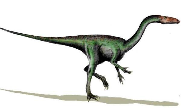 侏罗纪小型食肉恐龙图片