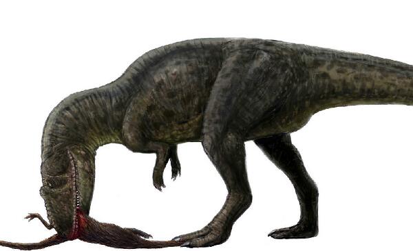 假鲨齿龙中国大型恐龙长7米以捕猎其它恐龙为食