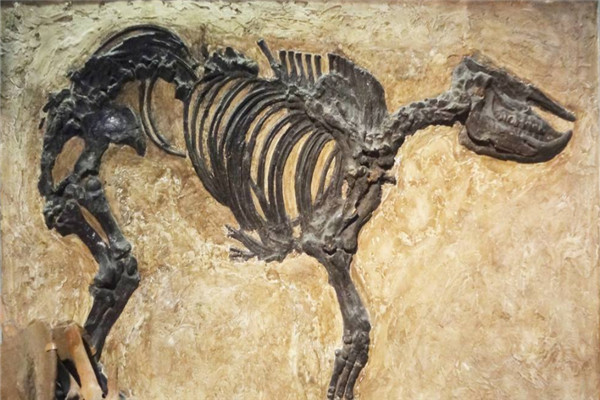 嘉陵龙:早期的剑龙科恐龙(中国四川被发现)