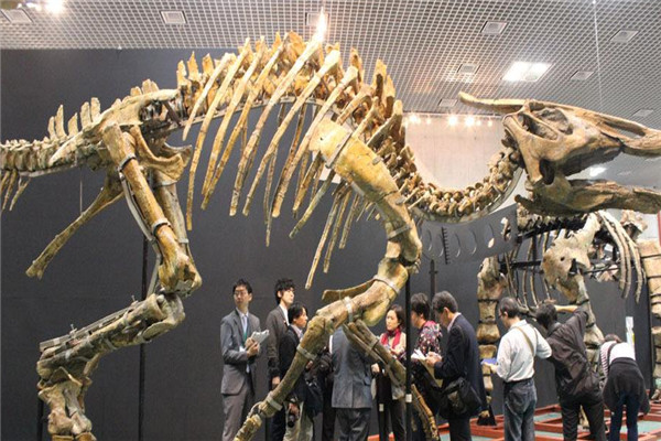 鲸龙:侏罗纪时期的原始恐龙(蜥脚类的恐龙)