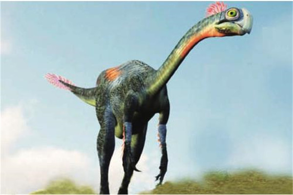尾羽龙长有羽毛奇特小型恐龙外观和鸟类相似