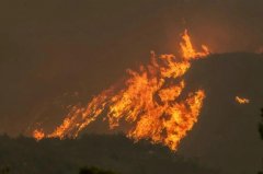 长江的水位已经不足7m，生活在长江的鱼类该怎么办