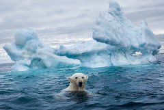 地球平均气温上升1.2℃，海洋水量增加48%，极端天气越来越频繁