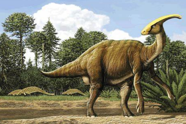 副栉龙北美大型恐龙长95米拥有最长的棒状头冠
