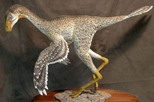原始祖鸟的体型