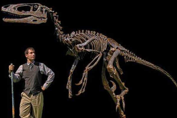达科塔盗龙最大的巨型驰龙科长6米或带有飞羽