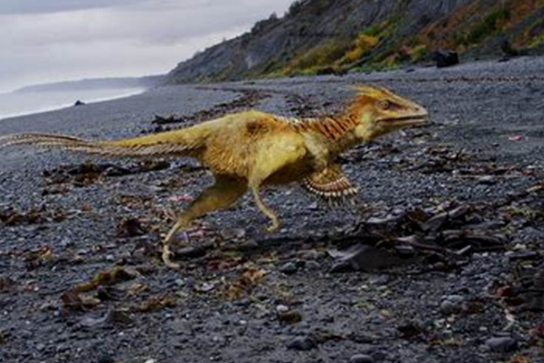 黄昏龙目前最小的肉食恐龙身高仅45厘米不如猫大