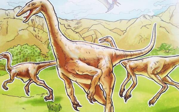前似鸵龙北美洲小型食肉恐龙长25米6000万年前