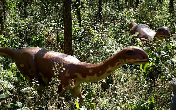 世界上最大的恐龙草食图片
