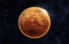 火星发现钻出活物，是不是火星生命？（火星活物）