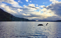 尼斯湖水怪一年出现好几次，这到底是一个什么样的生物？