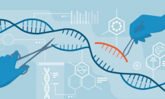 进化论可能并不是特别科学 科学家发现了最新的基因线索